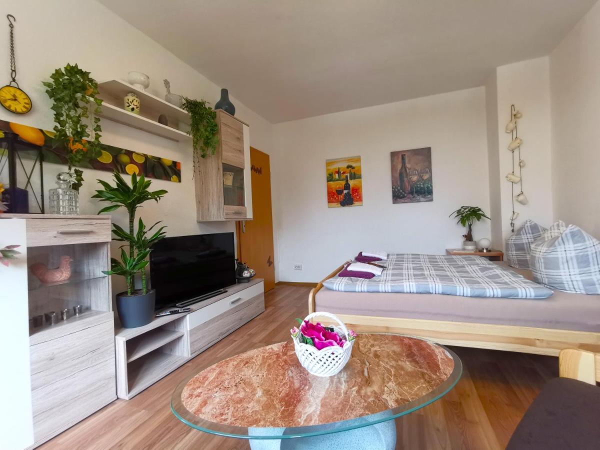 Ferien-und Gaestewohnung * Radebeul